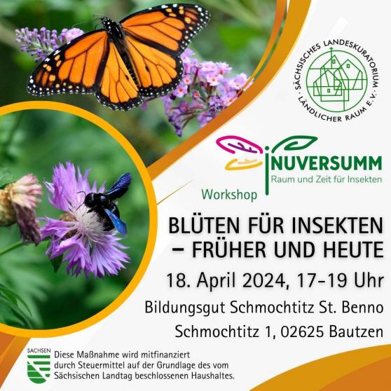 Grnlandwandel: Seminar beleuchtet Auswirkungen auf Insektenvielfalt