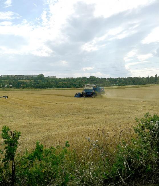 Industrielle Vernderungsprozesse in der Region Bautzen am Beispiel der Mhdrescherwerke Singwitz