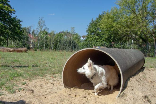 Neue Hundefreilaufwiese erffnet